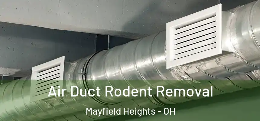 Air Duct Rodent Removal Mayfield Heights - OH