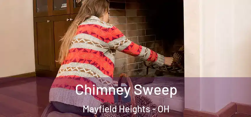 Chimney Sweep Mayfield Heights - OH
