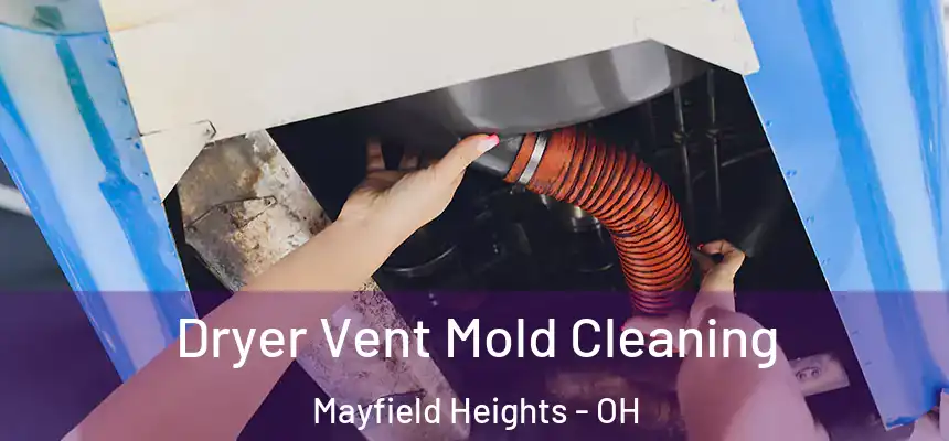  Dryer Vent Mold Cleaning Mayfield Heights - OH