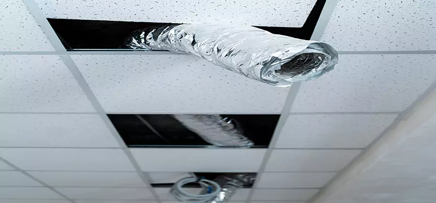 Our Air Duct Pet Hair Removal Services in Mayfield Heights, OH