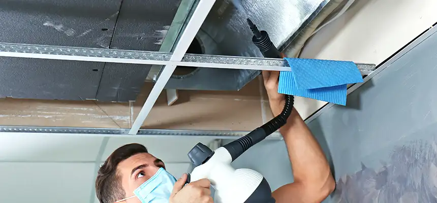 Our Air Duct Rodent Removal Services in Mayfield Heights, OH