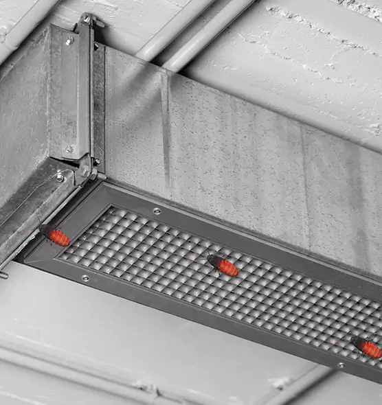 About Air Duct Cockroach Removal in Mayfield Heights, OH