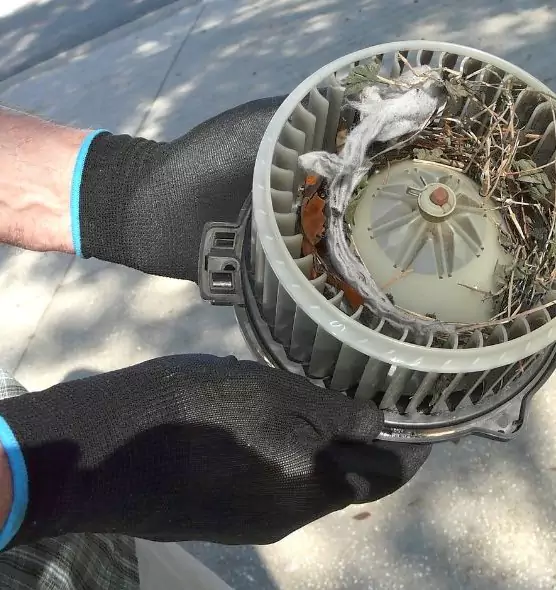 About Air Duct Mice Removal in Mayfield Heights, OH