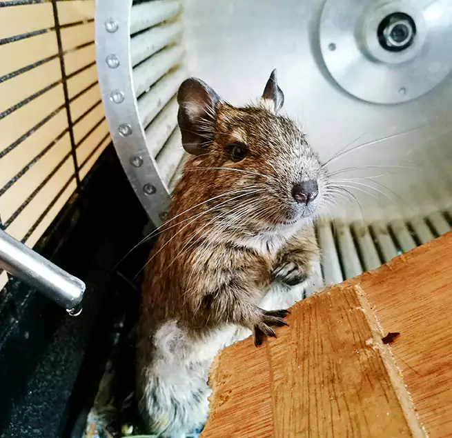 Why Homeowners & Businesses Trust Us Mayfield Heights, OH?